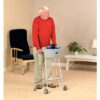 Buckingham Walking Frame Caddy