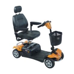 RASCAL Vista DX LiFe Mobility Scooter